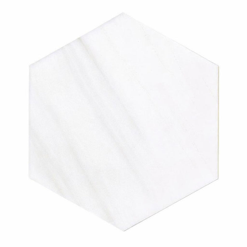 Bianco Dolomiti (White Dolomite) 10x10 Honed Hexagon Mosaic