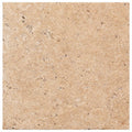 Walnut Travertine 8x8 Unfilled, Brushed & Chiseled Travertine Tile