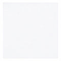 Thassos White (Greek) Marble 24x24 Honed Tile