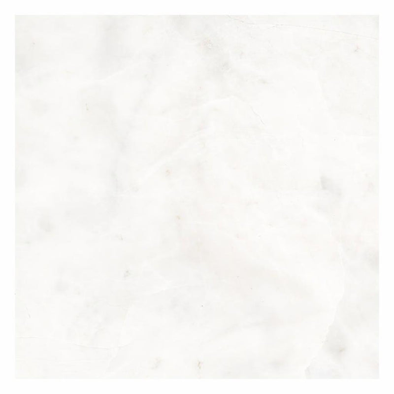 Bianco Congelato Marble 12x12 Leathered Dolomite Tile