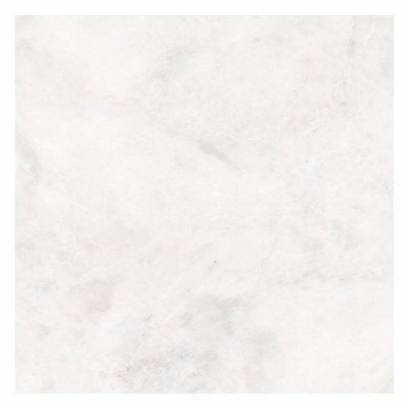 Bianco Congelato Marble 24x24 Leathered Dolomite Tile