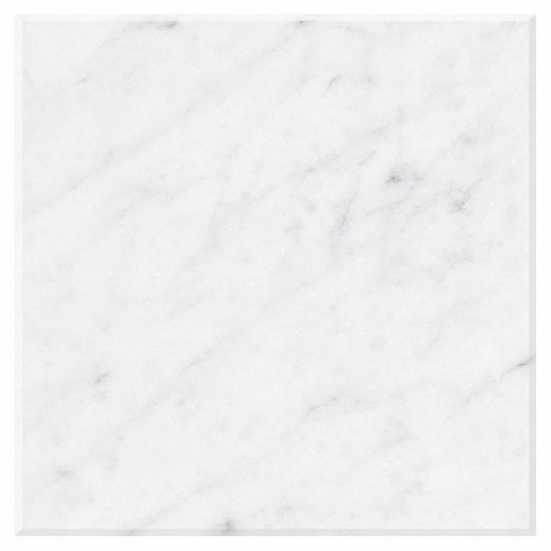 Carrara White (Italian) Carrara White Marble 12x12 Polished / Honed Tile