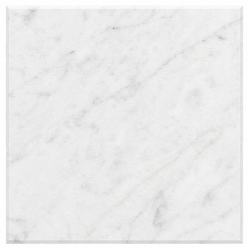 Carrara White (Italian) Carrara White Marble 24x24 Polished / Honed Tile