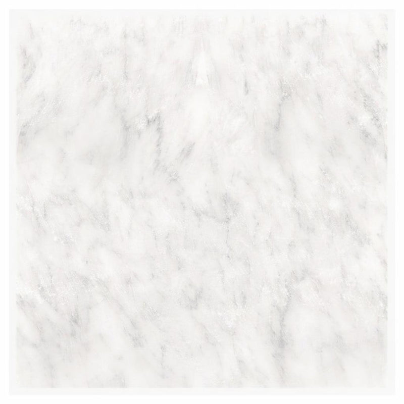 Oriental White (Asian Statuary) Marble 12x12 Honed Tile