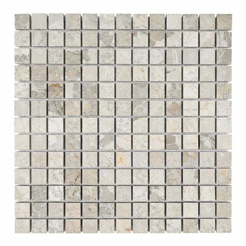 Atlantic Gray Marble 1x1 Tumbled Mosaic