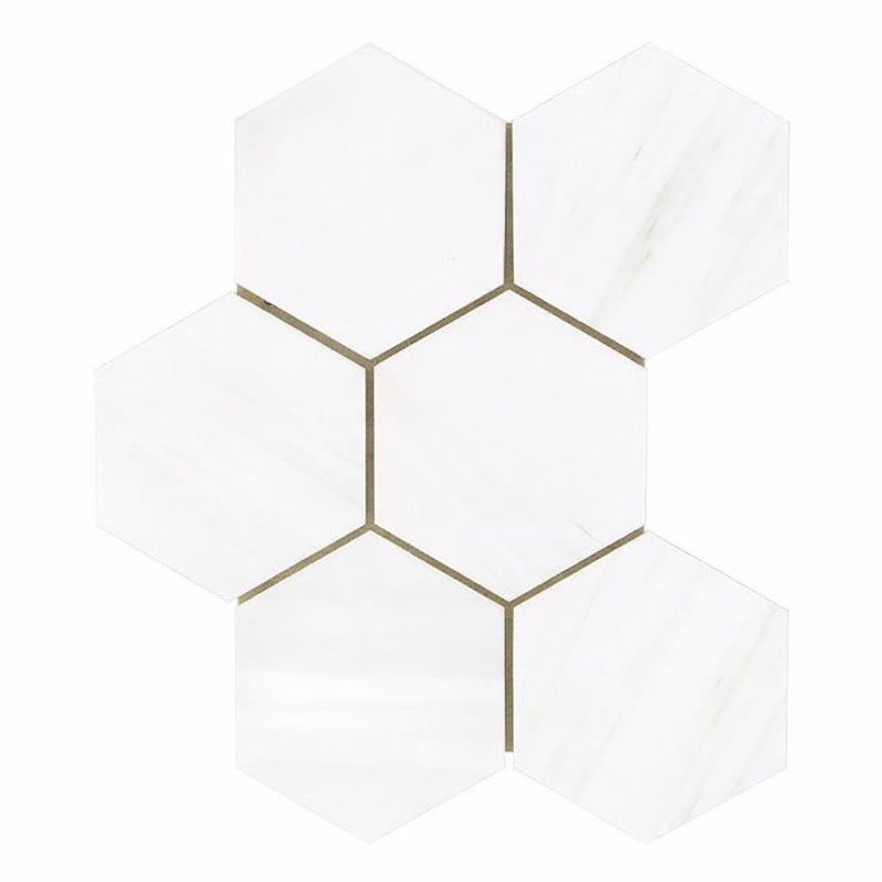 Bianco Dolomiti (White Dolomite) 4x4 Honed Hexagon Mosaic