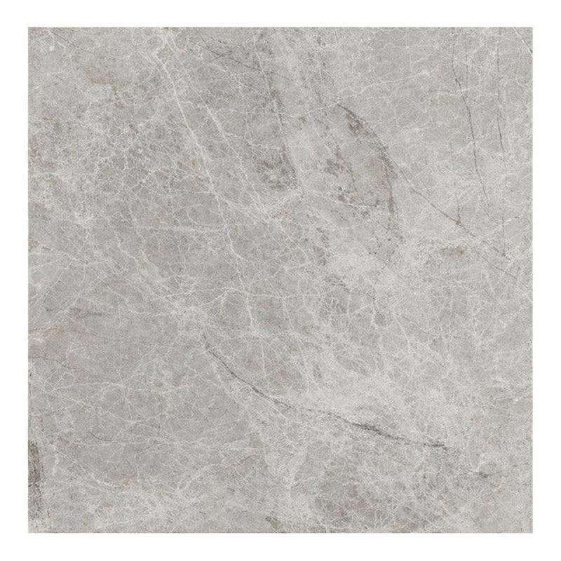 Atlantic Gray Marble 6x6 Polished/Honed Tile