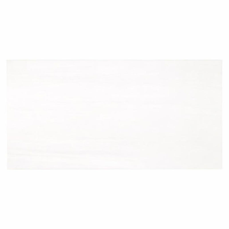 Bianco Dolomiti (White Dolomite) 12x24 Honed Tile