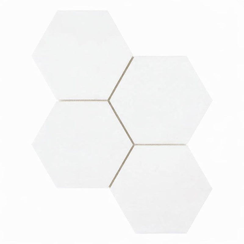 Thassos White (Greek) Marble 6x6 Honed Hexagon Mosaic