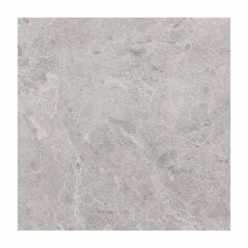 Tundra Gray Marble 24x24 Polished / Honed Tile