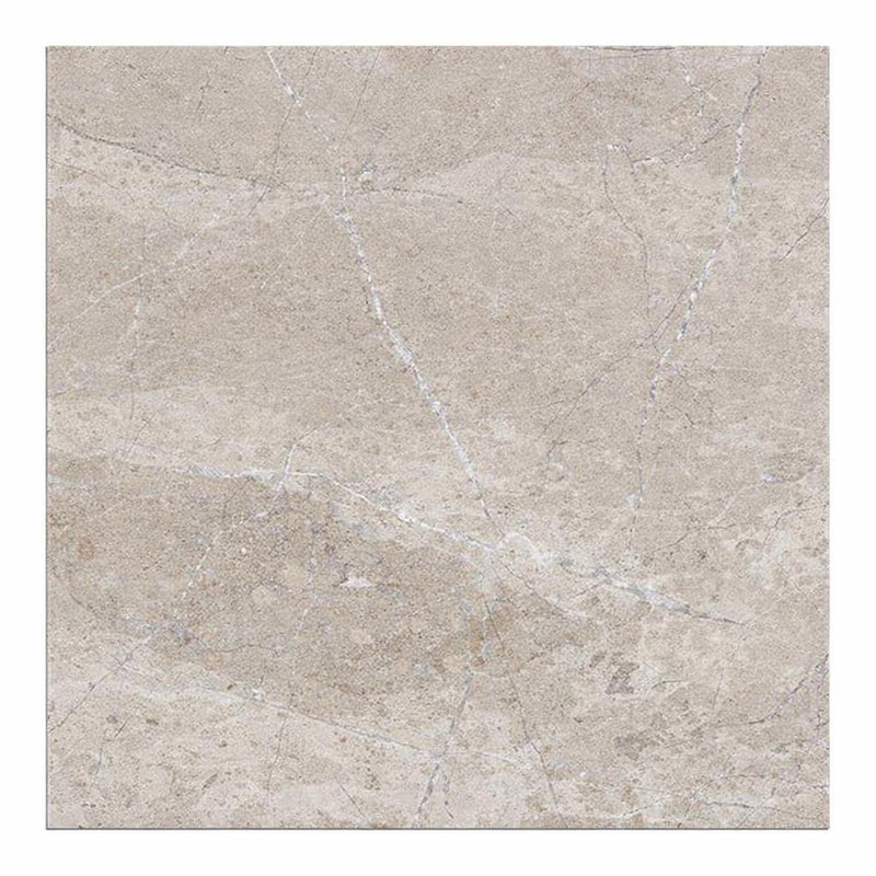Atlantic Gray Marble 24x24 Polished/Honed Tile