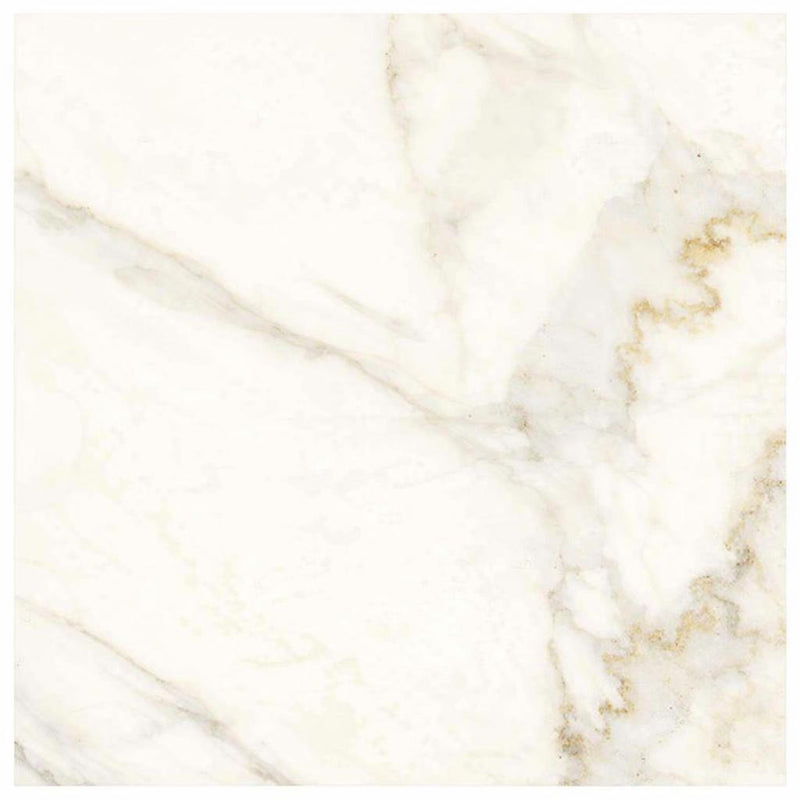 Calacatta Gold (Italian) Calacatta Gold Marble 24x24 Polished / Honed Tile
