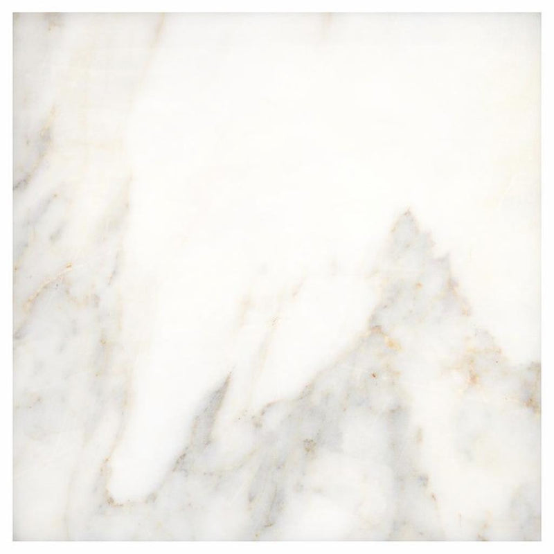 Calacatta Oliva Marble 24x24 Polished / Honed Tile