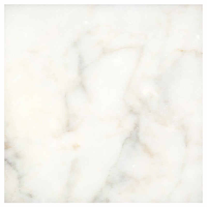 Calacatta Oliva Marble 12x12 Polished / Honed Tile