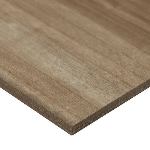 Havenwood Saddle 8x36 Matte Porcelain Wood Look Plank