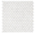 Hexagon Dolomite 2x2 Honed Marble Mosaic