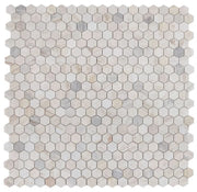 Hexagon Eura 2x2 Honed Marble Mosaic