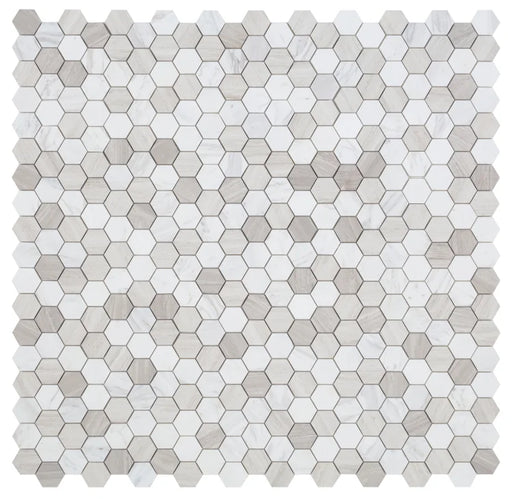 Hexagon Loft 2x2 Marble Mosaic