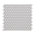 Hulu Natural Grey 1x1 Penny Round Glossy Porcelain Mosaic