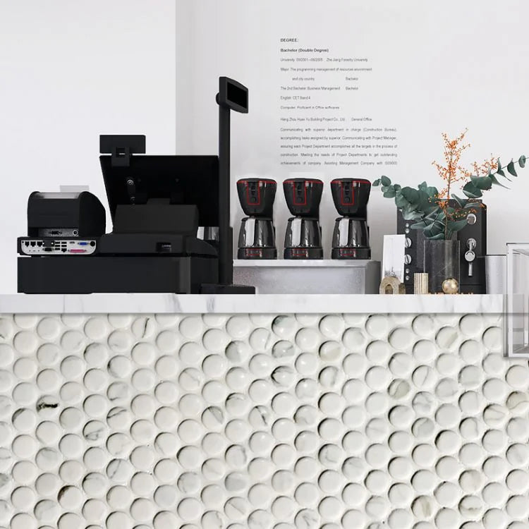 Hulu Statuario Penny Round Matte Marble Mosaic