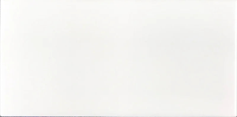 Ice White 24x48 Matte Porcelain Tile