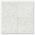 Iceberg 24x24x1/2 Polished Marble Tile close-up