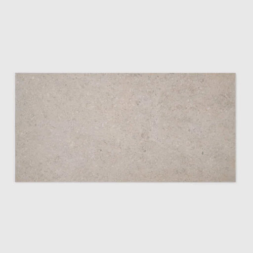 Ikonite Light 24x12 Honed Porcelain Tile