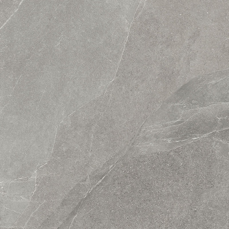 Italgraniti Shale Greige 12x24 matte porcelain tile detail with fine pale stone-look veins.