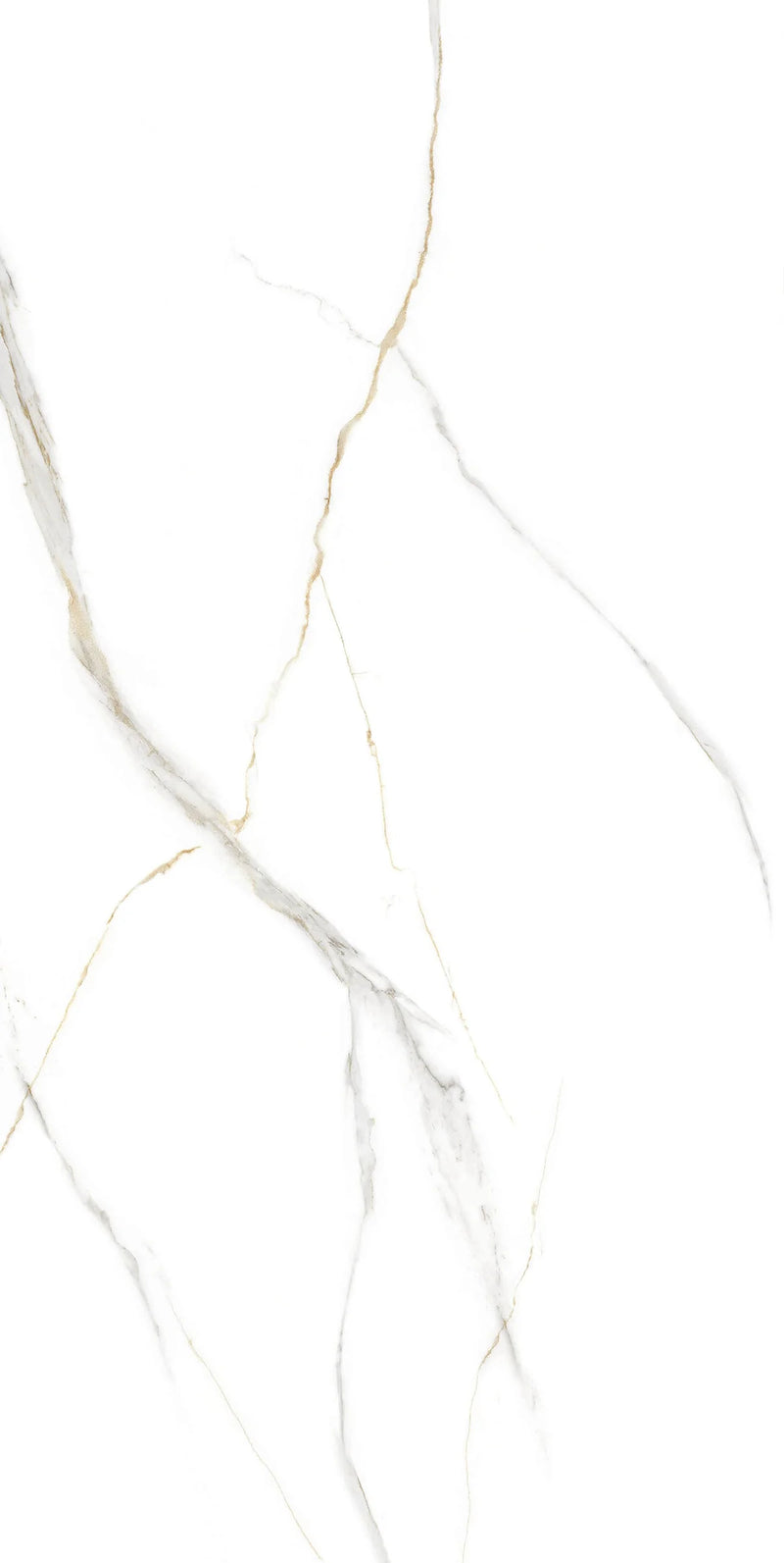 ITEM 24x48 Floor and Wall Porcelain Tile