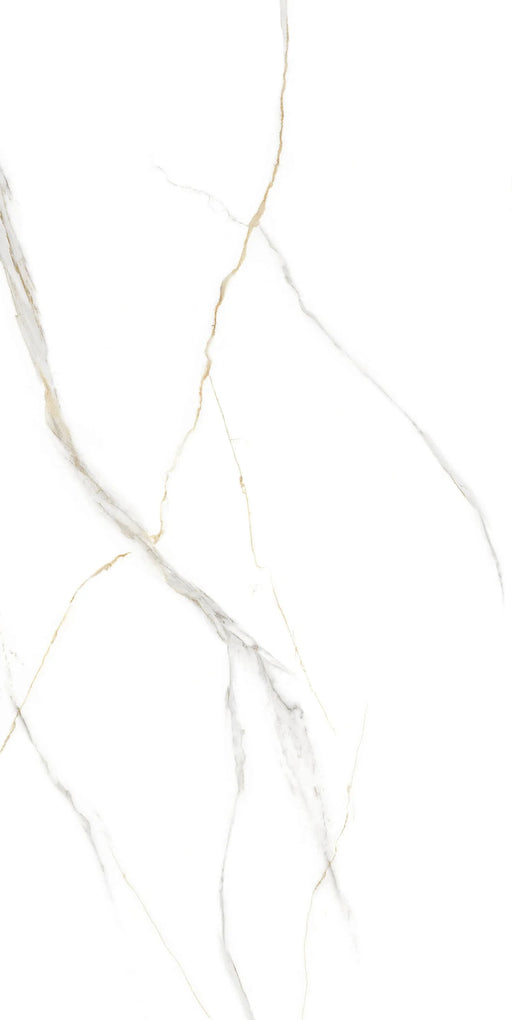 ITEM 24x48 Floor and Wall Porcelain Tile