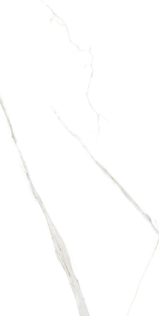 ITEM 24x48 Floor and Wall Porcelain Tile