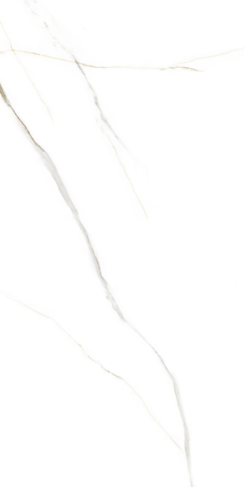 ITEM 24x48 Floor and Wall Porcelain Tile