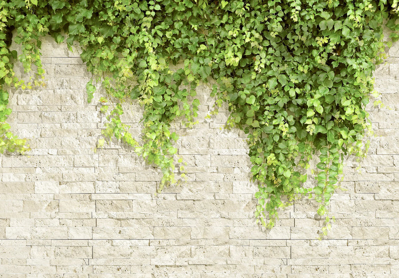 Silver/Secil 5-7/8x24 Mesh Split 3D Stack Quartzite Ledger Stone