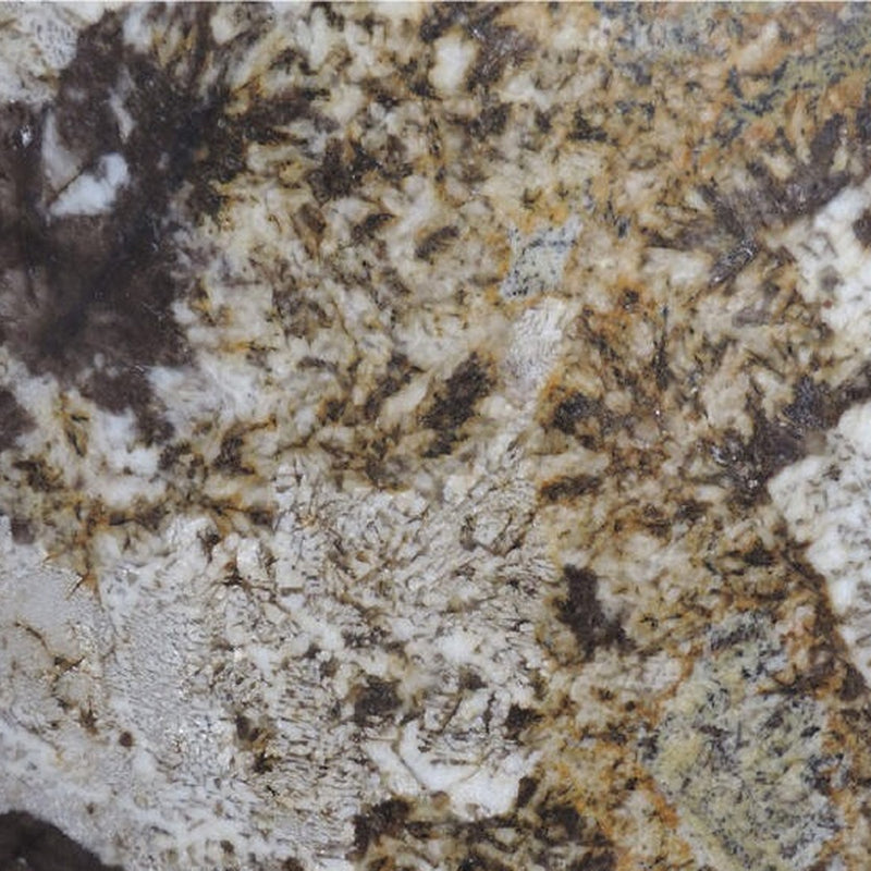 Jaguar granite slab with white, gold and dark mineral patterns.
