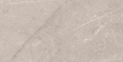 Jewels Etienne Gray 24x48 Rectified Glazed Porcelain Tile