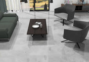 Kadence Perla 24x48 Matte Porcelain Tile