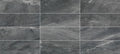Karakter 11.8x35.4 Matte Porcelain Tile