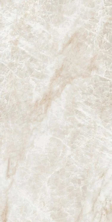 Kraken 12x24 Polished Porcelain Tile