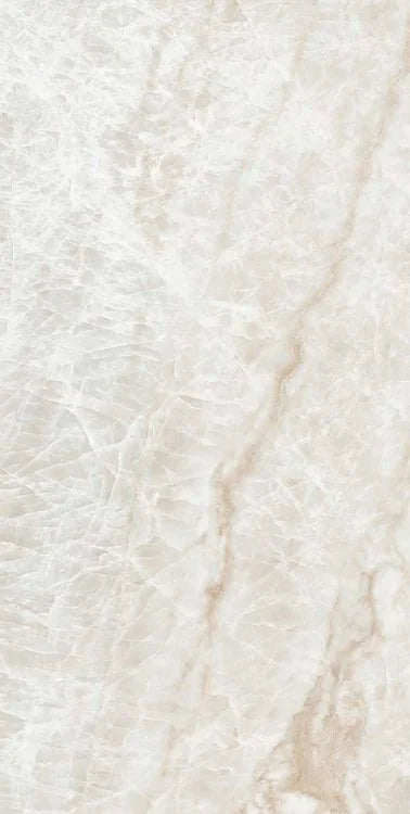Kraken 12x24 Polished Porcelain Tile