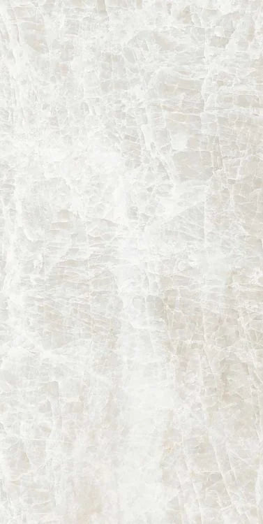 Kraken 12x24 Polished Porcelain Tile