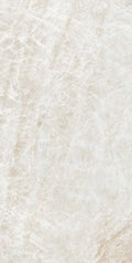 Kraken 12x24 Polished Porcelain Tile