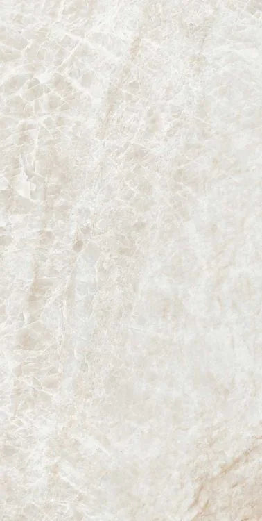 Kraken 12x24 Polished Porcelain Tile