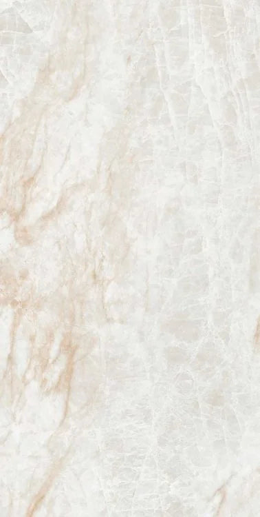 Kraken 12x24 Polished Porcelain Tile