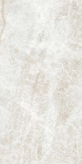 Kraken 12x24 Polished Porcelain Tile