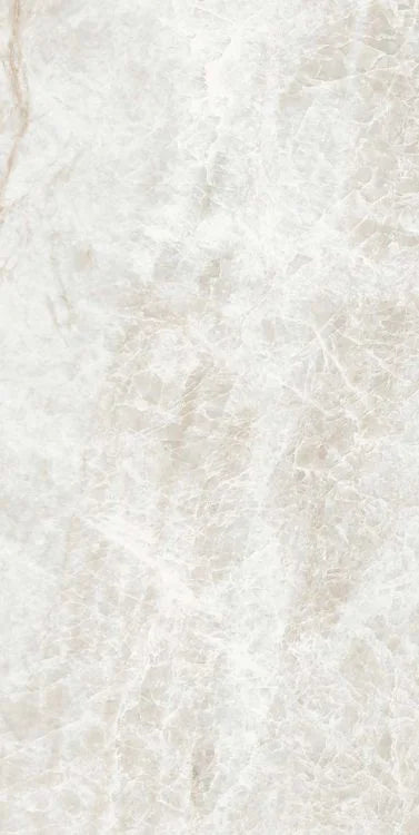 Kraken 12x24 Polished Porcelain Tile