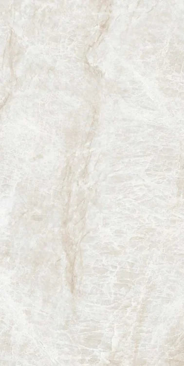 Kraken 12x24 Matte Porcelain Tile