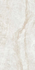 Kraken 12x24 Matte Porcelain Tile