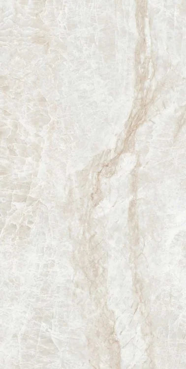 Kraken 12x24 Matte Porcelain Tile