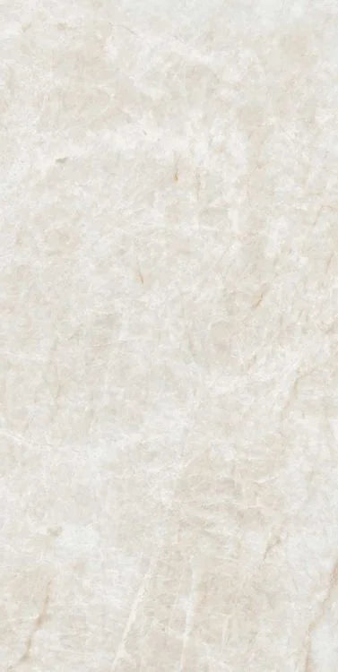 Kraken 12x24 Matte Porcelain Tile