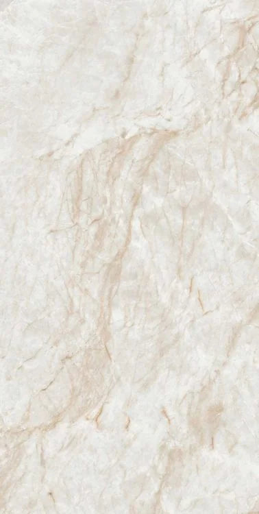 Kraken 12x24 Matte Porcelain Tile